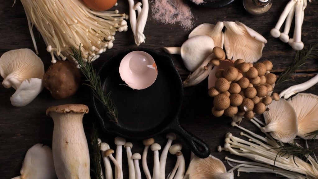variety of mushrooms
