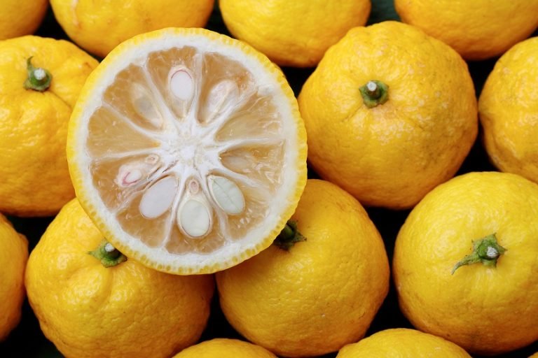 Yuzu Citrus Fruits,