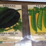 kitazawa seed